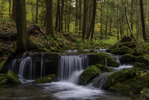 �1760338 �������(a): ����������:2048x1367